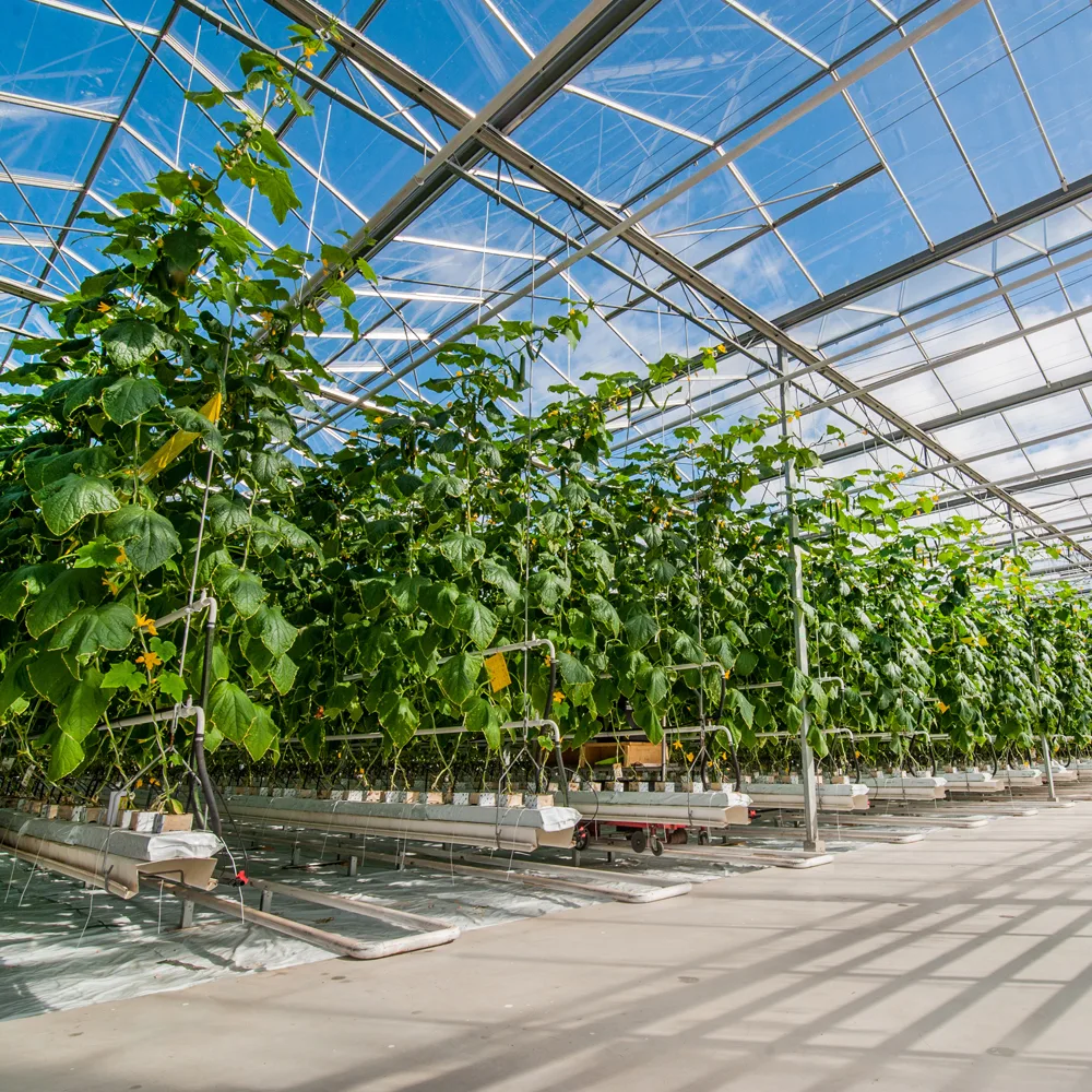 Food and Agtech